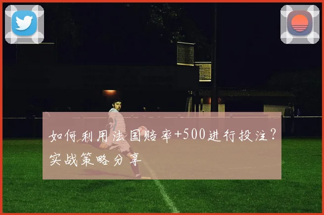 如何利用法国赔率+500进行投注?实战策略分享