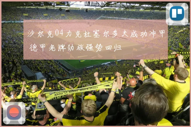 沙尔克04力克杜塞尔多夫成功冲甲 德甲老牌劲旅强势回归