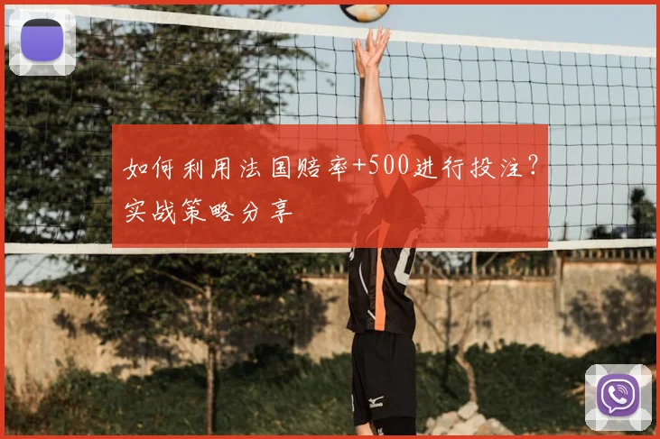 如何利用法国赔率+500进行投注？实战策略分享