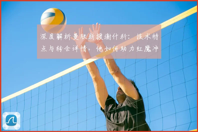 深度解析曼联新援谢什科:技术特点与转会详情,他如何助力红魔冲击冠军?