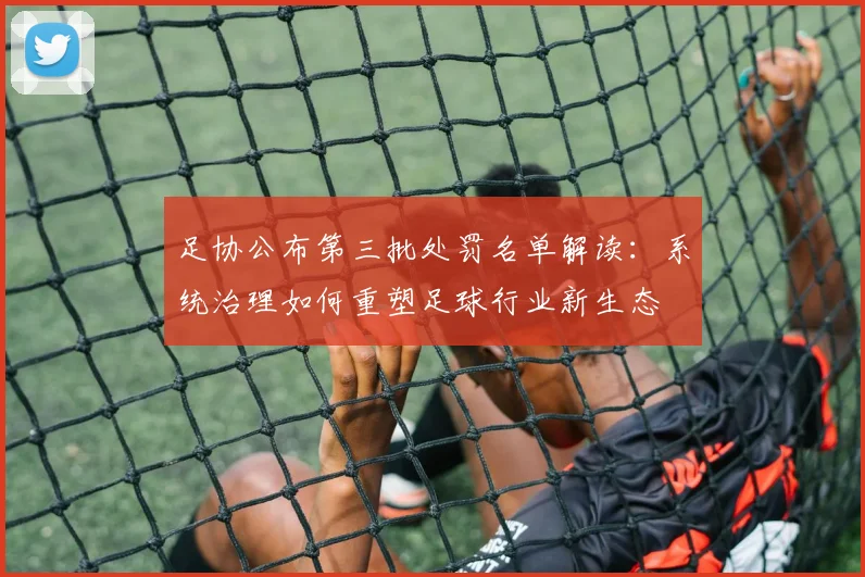 足协公布第三批处罚名单解读:系统治理如何重塑足球行业新生态